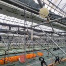 용리농장 이미지