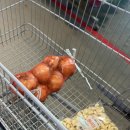 이증재 | 260222-260223 예천