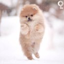 오봉오거리 이미지