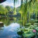 비 개인 뒤의 연못(雨後池上)/유반(송) 이미지