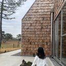 경산상대온천 이미지