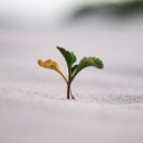 원일냉난방(주) 이미지