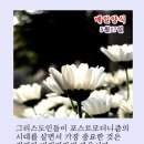 샬롬 - 순천시 | 샬롬