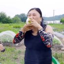 숯불구이먹방 이미지