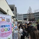새빛 이미지
