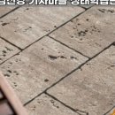 비비앤코