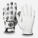 페르시안 캣 이미지