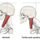 신중동PT 명품피티 이미지