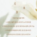 이알디아카이브 이미지