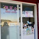 주식회사 요트탈래 | 울산 가볼만한곳, 울산 요트투어 일산해수욕장 대왕암공원 투어 &lt;요트탈래&gt;
