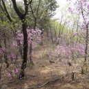봉성경로당 | 복안산 /울산 울주군