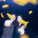 코코사진관 - 원주시 천매봉길 17 | 코코사진관