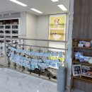 속초동해장례식장 | 강릉펫사랑 강릉반려동물장례식장 ㅣ프리의 마지막 인사를 함께한 이야기