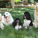 리치동물병원 이미지