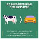 소온실
