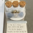 [청주] 봉명동 숨은 디저트 맛집 : 메이크잇베러 MAKE IT BETTER
