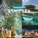 해양종합광고기획 | 부산 영도 국립해양박물관 입장료 어린이박물관 예약 주차방법은?