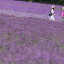 국철농장 이미지