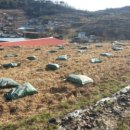 품안농장 이미지