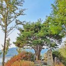 한반도섬 이미지