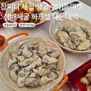 유튜버 참피디 제철 생굴 : 통영 석화 삼배체굴 하프셀 핵이득마켓 내돈내산 후기