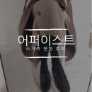 어퍼스트