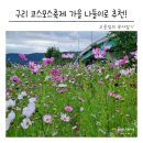 코스모스기념품 | 서울근교 가을 나들이 구리 코스모스축제 후기 개화 상황