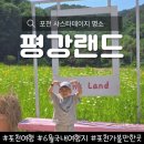 포천 가볼만한 곳 마이애니멀스토리 평강랜드 샤스타데이지 명소