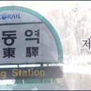 광휘 당구장 Daum카페
