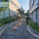 (주)수목조경 이미지