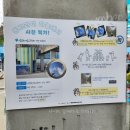 서울문화예술교육센터 양천 예술힐링놀이터 어린이 공연