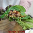 대지집 - 영도구 남항로31번길 45 | 대지집