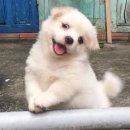 초여름 긴 낮을 보내고