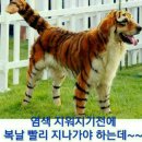 야 이미지