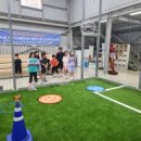 용인대신흥태권도장 이미지