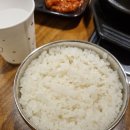 영월애숯불닭갈비