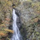 백두여행사 이미지