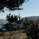 충주 한옥 펜션 비내청명원 내돈내산 촌캉스 후기