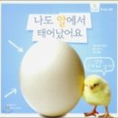 호기심 과학 이미지