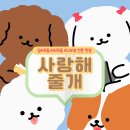 사랑해줄개 이미지