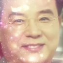 요기오면돼지