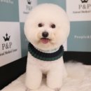 피엔피PC 이미지