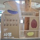 국립백두대간수목원 동물병원 | 국립 백두대간 수목원 호랑이 숲 방문 후기