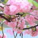 남대천 일대(남문리) 이미지