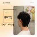 쉐도우비전 이미지