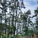 뜰아래솔바다 이미지