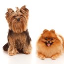 베이지동물병원 이미지