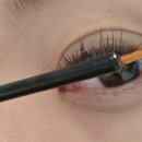 포레스트모가 이미지