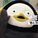 백두산참치 이미지