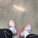 헬스 Boy | 동탄 내돈내산 운동 맛집 크로스핏 동탄 베이스 가격 주차 시간표